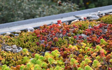 the cost of Cleave green roof installation